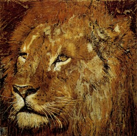 le lion de la teranga
