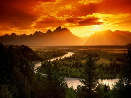 la vie sur terre