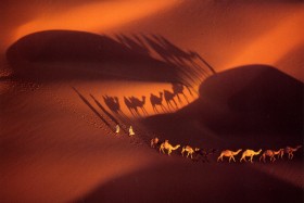 desert