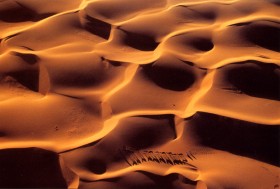 desert de mauritanie